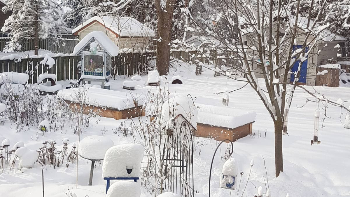 Franklin Park Garden winter view